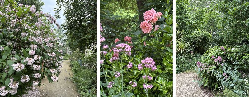 garden001.jpg