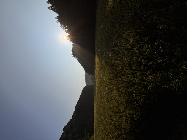 image1.jpeg